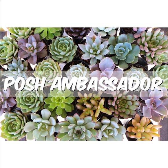 Meet your Posher, Jess - Picture 2 of 3